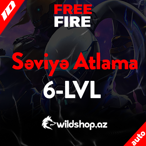 Level Up Package - Level 6