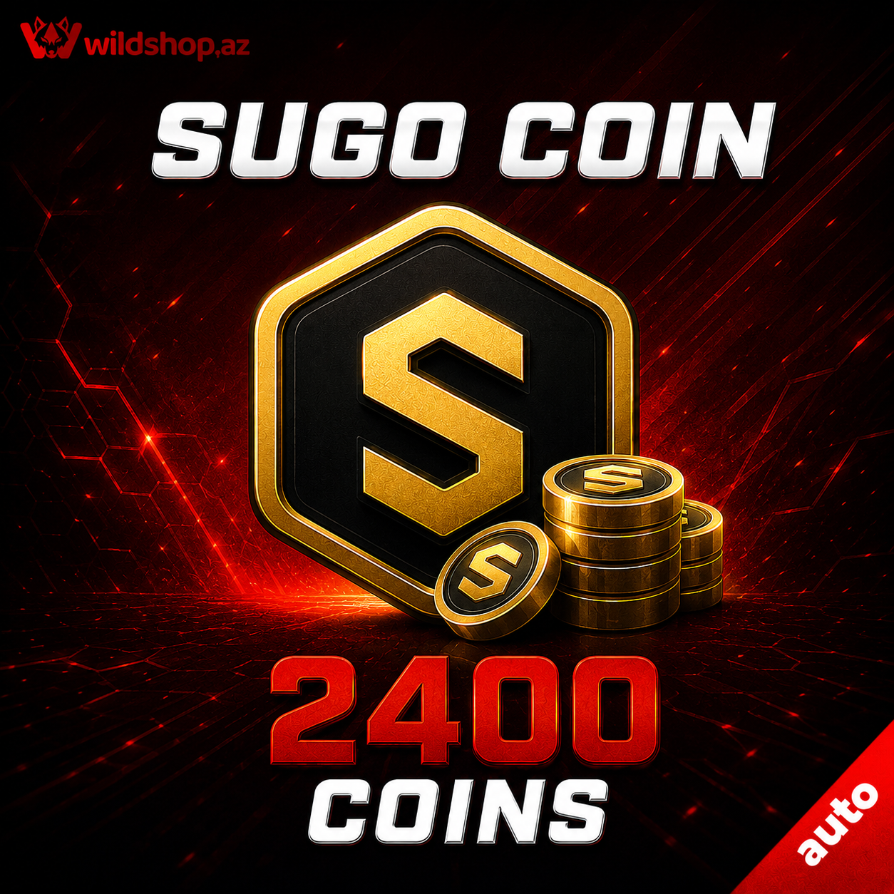 2400 Coins