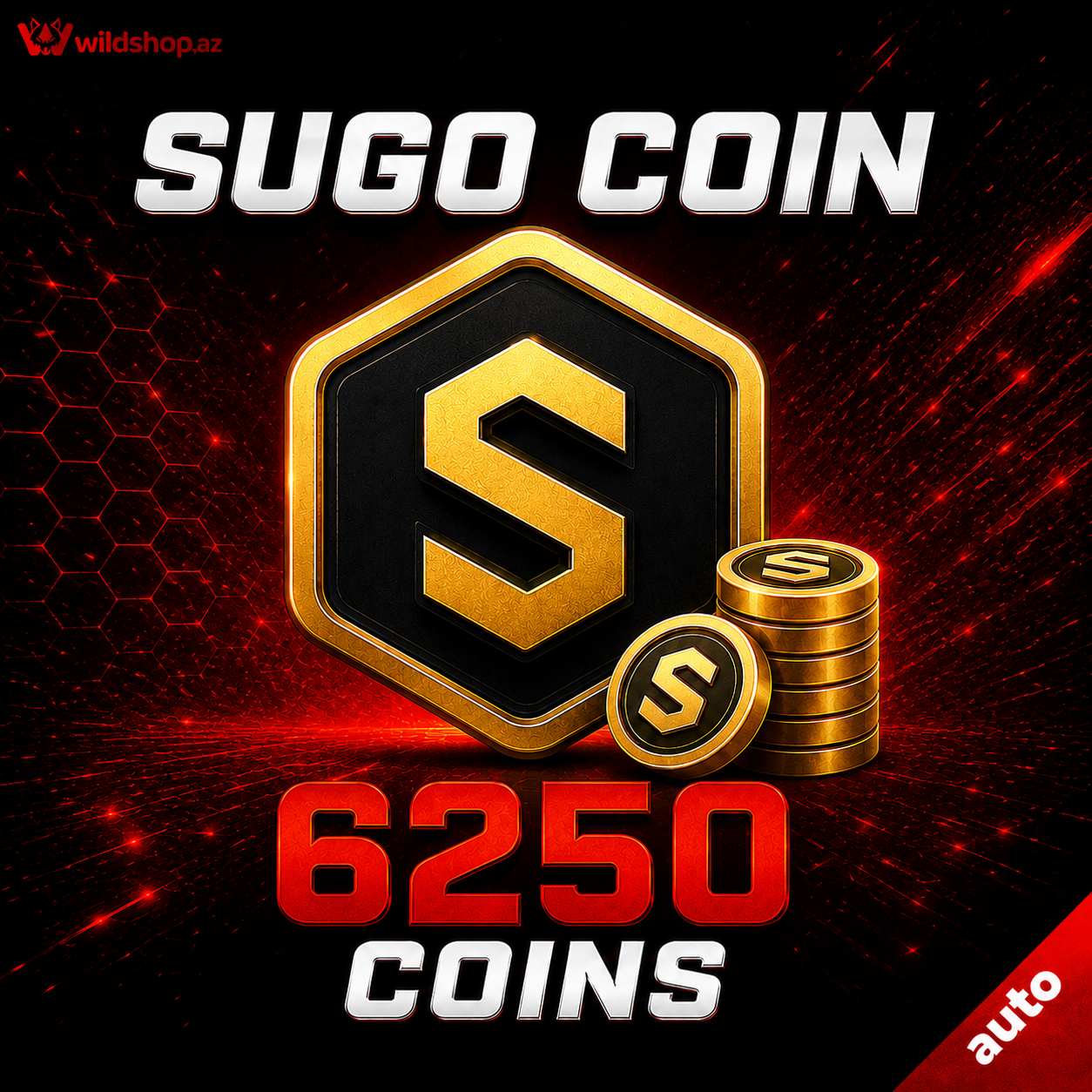 6250 Coins