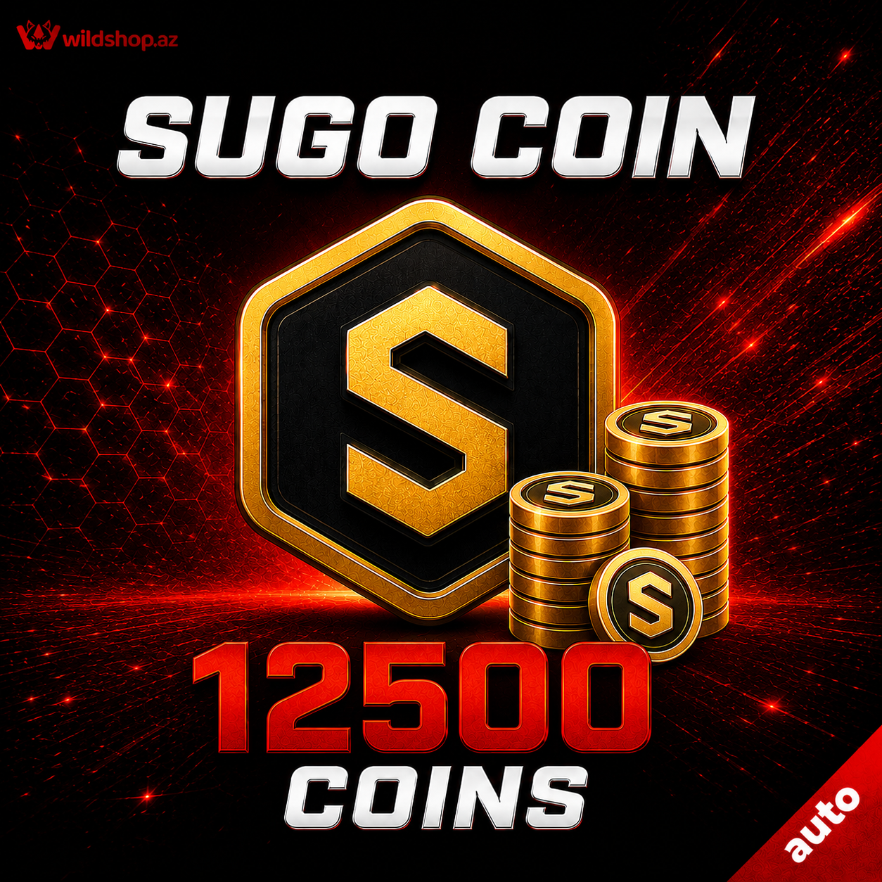 12500 Coins
