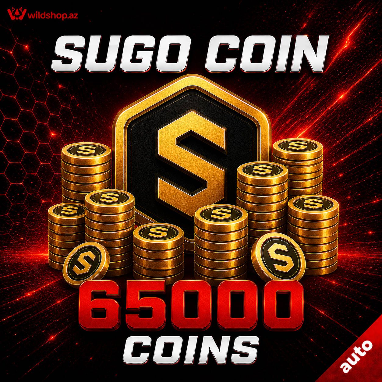 65000 Coins